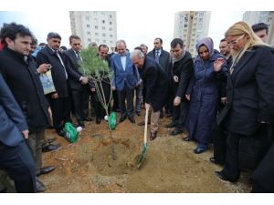 Kayaşehirliler Fidan Dikti