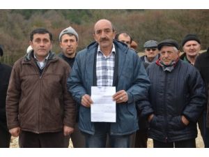 Tavuk Kümesini Protesto Etmek İçin Eylem Yaptılar