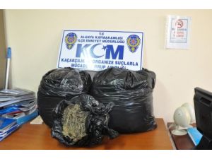 Alanya’da 18 Kilogram Esrar Ele Geçirildi