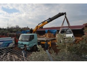 Yoldan Çıkan Otomobil Odun Deposuna Girdi