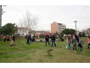 Çam Fidanları Toprakla Buluştu