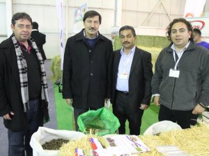 Kuraklık yemi de vurdu!