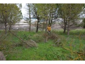 Balıkesir Üniversitesi'ne Botanik Bahçesi Yapılacak