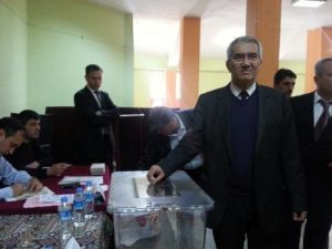 Yusuf Top Güven Tazeledi