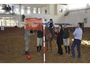 Engelliler At Ve Köpeklerle Tedavi Ediliyor