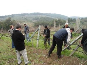 Bağcılara Budama Eğitimi