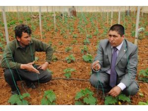 Dsp'li Gündoğdu:milletin Kanını Emen Sülükler Ayakkabı Kutularında