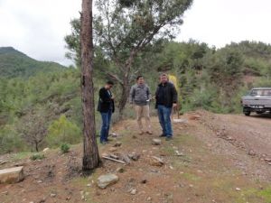 Mersin'de Bal Ormanı Çalışmaları Başladı