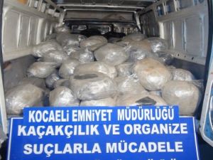 Kocaeli'nde 736 Kilogram Esrar Ele Geçirildi