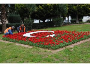 Cemrenin Toprağa Düşmesiyle İlkbahara Geçiş Başladı