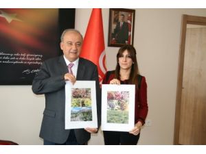 Tunceli’de İki Yeni Kenger Türü Tespit Edildi