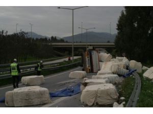 Pamuk Yüklü Tır Devrildi