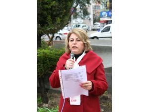 Chp'li Kadınlardan 8 Mart Etkinliği