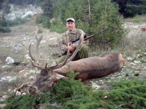 Yaylada Yetiştirilen Geyikler Para Karşılığında Avlanıyor
