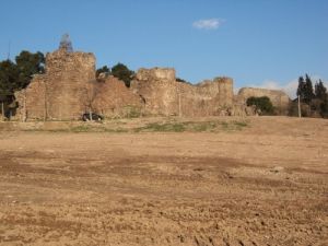 Toki, İzmir’in Çehresini Değiştiriyor