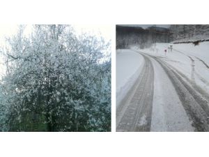 Ordu'da Mart Kapıdan Baktırdı, Kazmayı Da Küreği De Yaktırdı