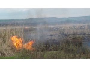 Batman Çayı Kenarındaki Sazlıkların Ateşe Verilmesine Tepki