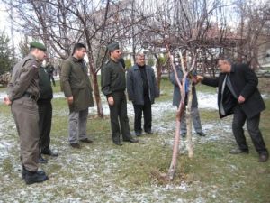 Jandarmada Askerlik Yapanlara Ağaç Budama Eğitimi Verildi