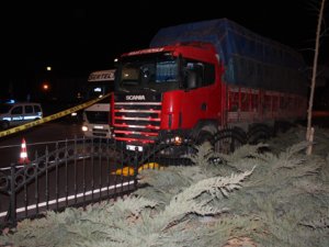 Üst geçitten geçmedi, canından oldu