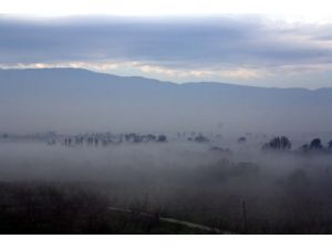 Sis Bursa’yı Yok Etti, Doyumsuz Manzara Ortaya Çıktı
