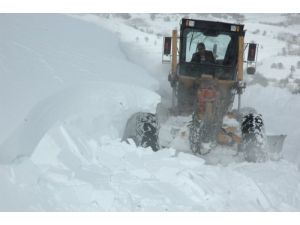 Ulgar Geçit Vermedi