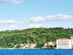 Cengiz İnşaat'a... '0' TL'ye... Boğaz'da bir koru