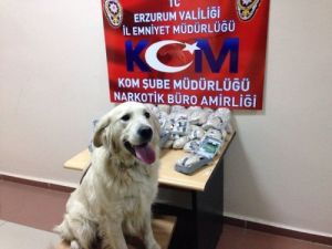 15,7 Kilo Eroin Ele Geçirildi