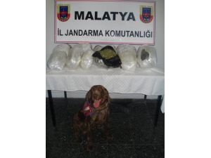 Malatya’da 15 Kilo Esrar Ele Geçirildi