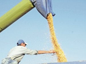 Çiftçi müjdeli haber geldi