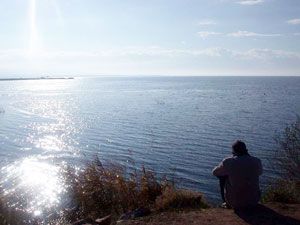 Türkiye'nin en büyük tatlı su gölü canlanıyor