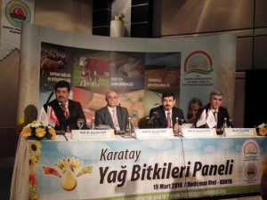 Yağlık ayçiçeği her yıl ekilmemeli