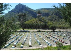 Manavgat Kekik Balında Marka Olmayı Hedefliyor