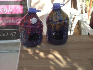 Plastik Petler Kuşlar İçin Yuva Oldu