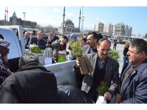 Düzgün: 3 Milyon Fidan Diktik, Daha Fazlasını Dikmeyi Hedefliyoruz