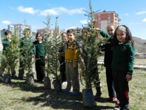 Özel Ergin Koleji Öğrencileri Okul Bahçesine Fidan Dikti