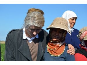 Chp'li Tarhan: Twitter Yasağı İle Bir Tür Karartma Geceleri Uygulanıyor