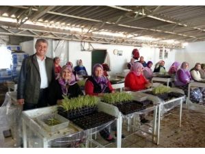 Chp Manavgat Adayı Başkan Sözen: Örtü Altı Tarımı Yaygınlaştırıyoruz