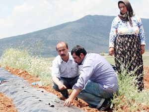Kırmızı altın kurtardı