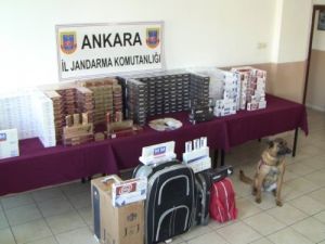 133 Bin Paket Kaçak Sigara Ele Geçirdi