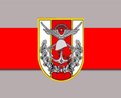 TSK: Suriye Türk F-16'larına füze kilitledi!