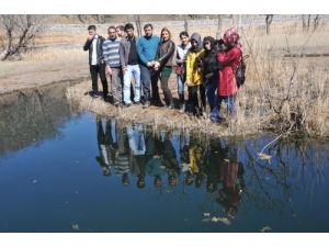 Muşlu Fotoğrafçılar Bingöl’ün Yüzen Adalarını Fotoğrafladı