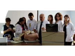 Profesör Gündüz Ders Veriyor, Akşam Kendisi Ders Alıyor