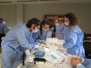 Hayvanlarda En Çok Ağız Hastalıkları Görülüyor