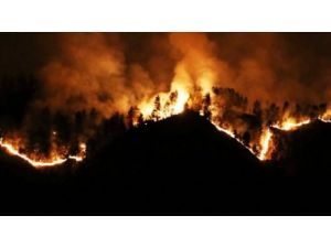 Rize’de 70 Hektar Ormanlık Alan Kül Oldu