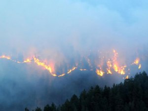 70 hektar ormanımız yandı