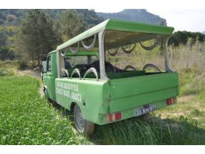 Silifke’de Korkunç Cinayet