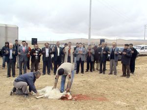 Ayrancı'da su sevinci yaşanıyor