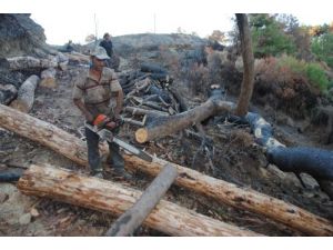 Türkbeleni, Yangına Dayanıklı Fidanlarla Yeşillendirildi