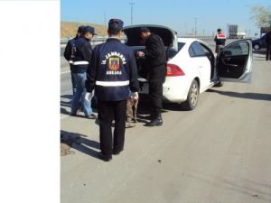 Jandarma Seçim Tedbirlerini En Üst Seviyeye Çıkardı