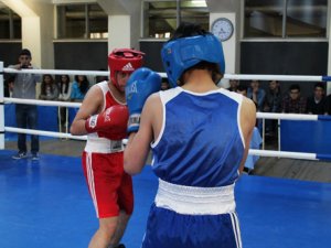 Boksa teşvik müsabakaları yapıldı